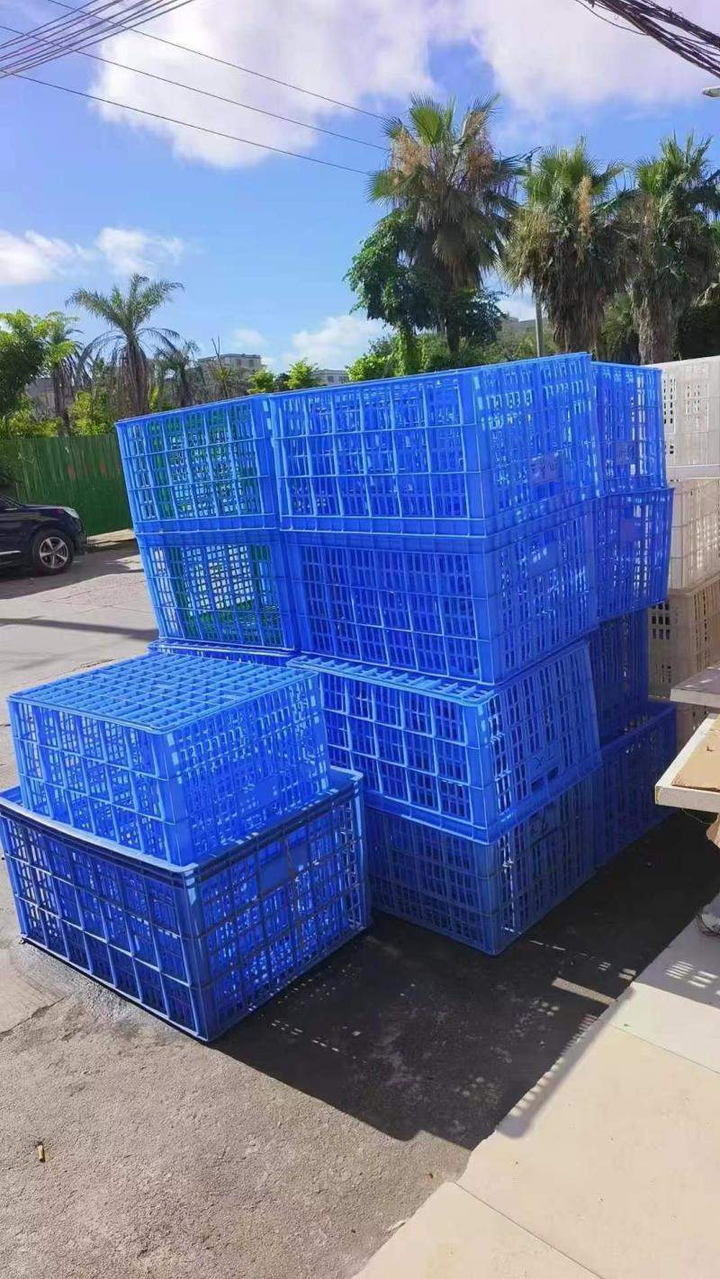 40个大号胶筐便宜出售