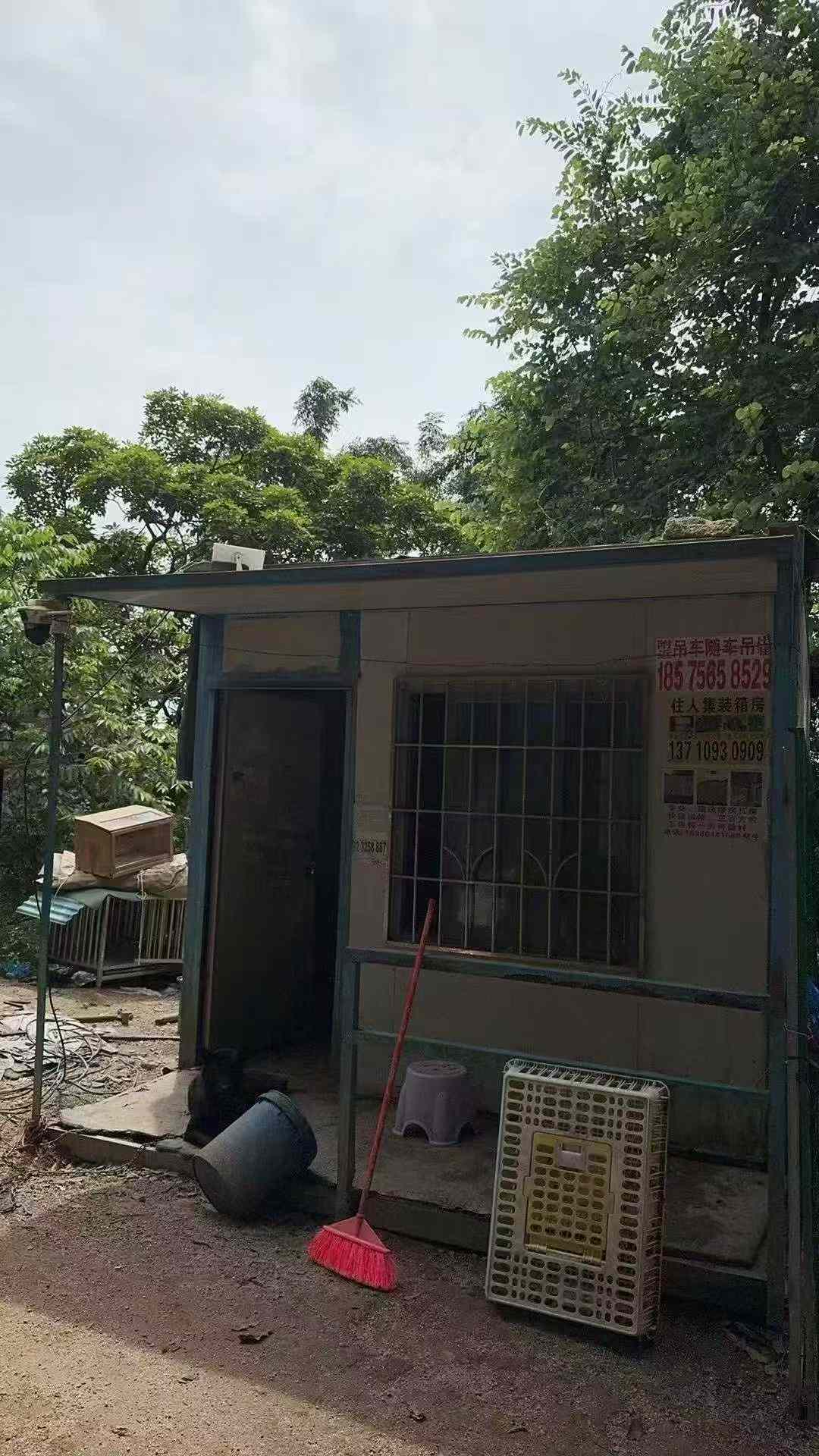 有需要低价出 